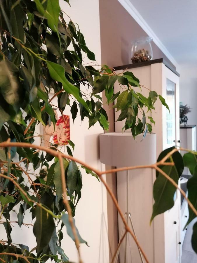 Apartman Luna 시베니크 외부 사진